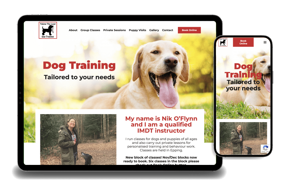 Taking the lead - do training website design